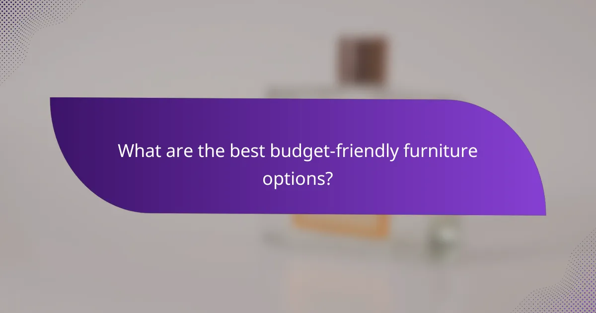 What are the best budget-friendly furniture options?