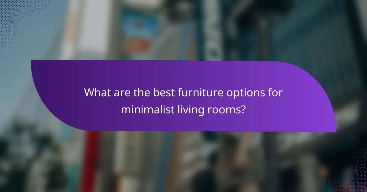 What are the best furniture options for minimalist living rooms?